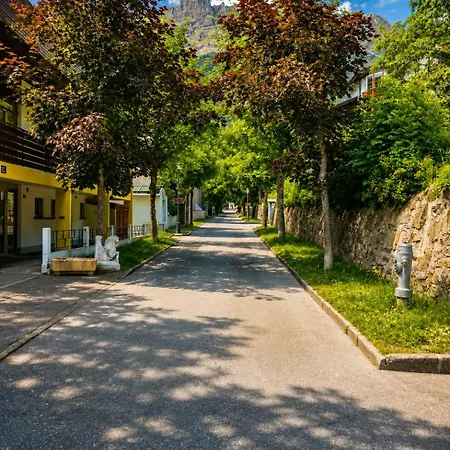 Schlossli-le Petit Chateau 公寓式酒店 洛伊克巴德
