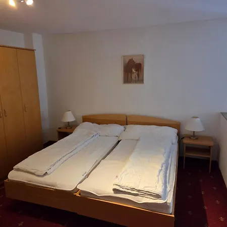 Schlossli-le Petit Chateau Apartahotel 3*