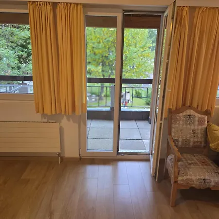 Schlossli-le Petit Chateau 3* 洛伊克巴德